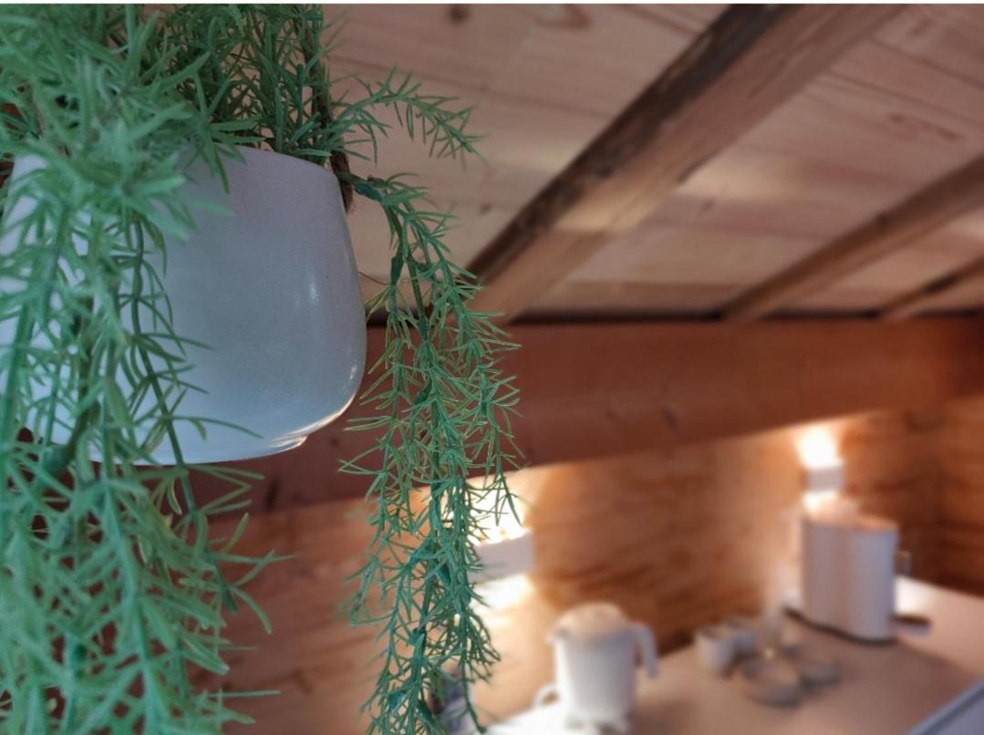 Chambre Boille A Lait Entremont Экстерьер фото