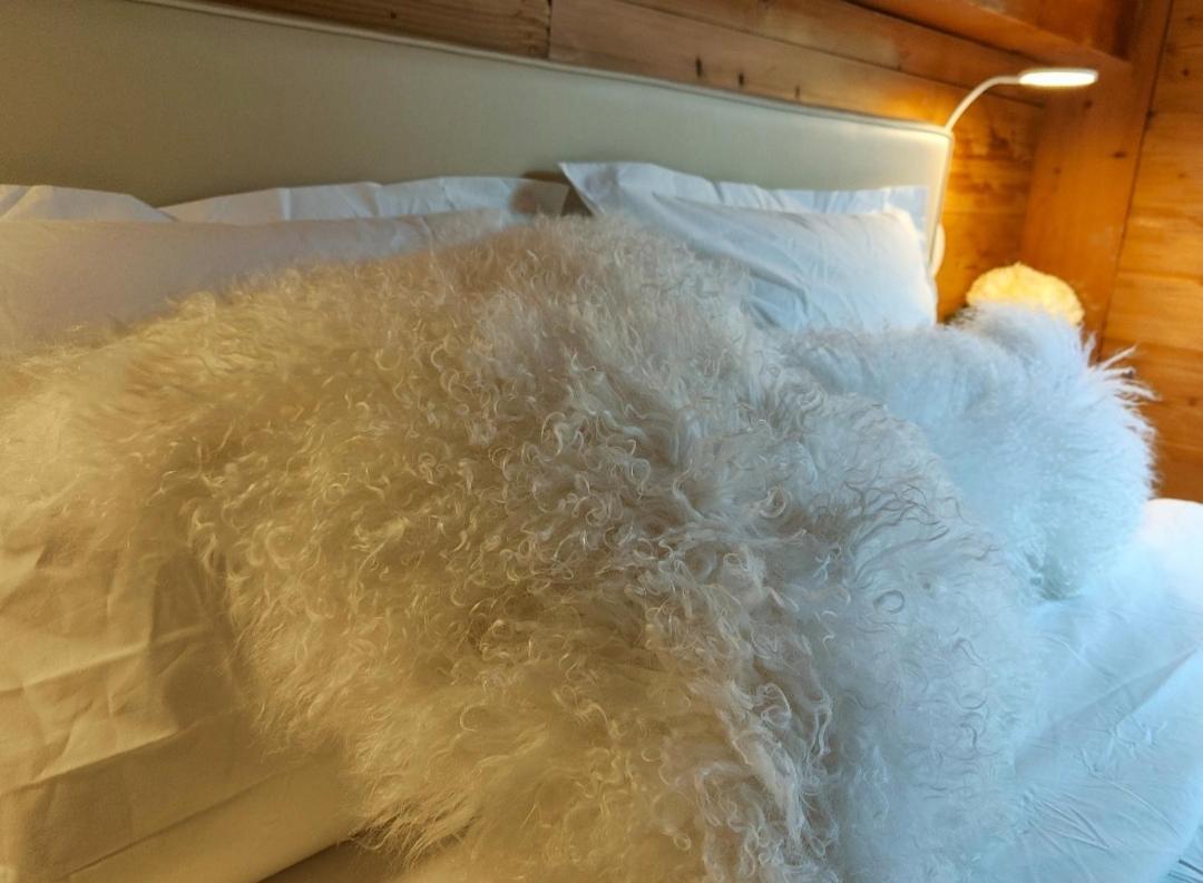 Chambre Boille A Lait Entremont Экстерьер фото