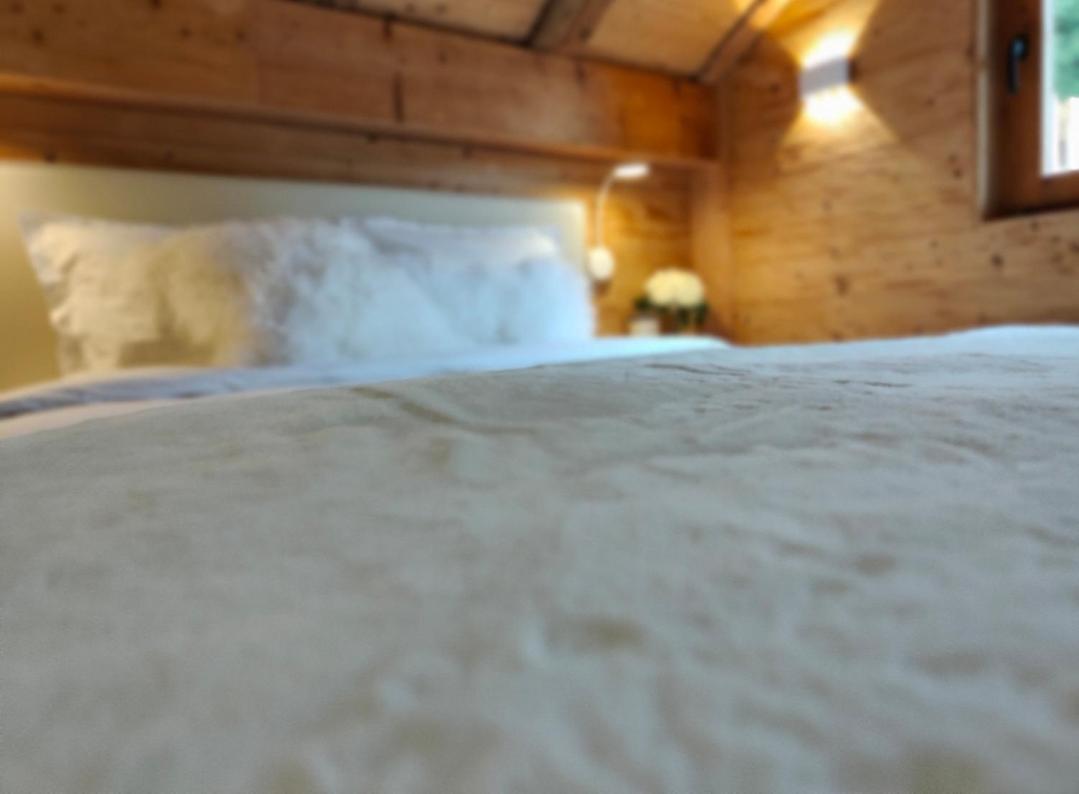 Chambre Boille A Lait Entremont Экстерьер фото